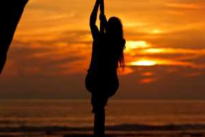 Image of Pole Climber